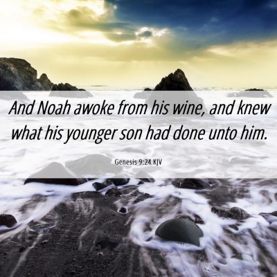 Picture 06 - Genesis 9:24 KJV - And Noah awoke from his wine, and knew what his - Bible Verse Picture