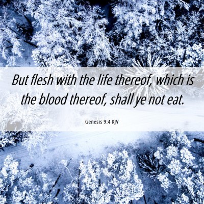 Picture 06 - Genesis 9:4 KJV - But flesh with the life thereof, which is the - Bible Verse Picture
