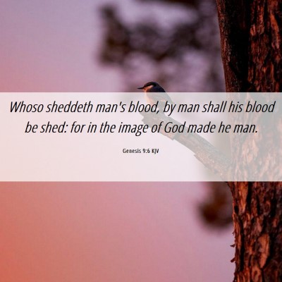 Picture 06 - Genesis 9:6 KJV - Whoso sheddeth man's blood, by man shall his - Bible Verse Picture