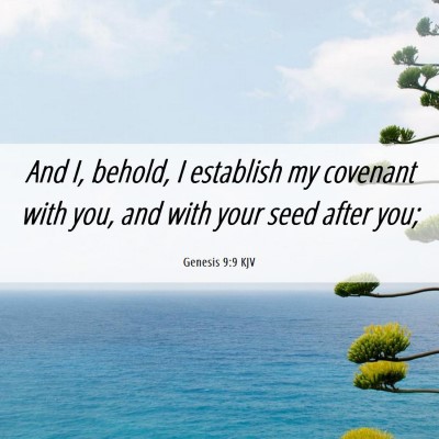 Picture 06 - Genesis 9:9 KJV - And I, behold, I establish my covenant with you, - Bible Verse Picture