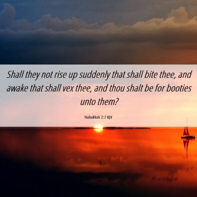 Picture 06 - Habakkuk 2:7 KJV - Shall they not rise up suddenly that shall bite - Bible Verse Picture