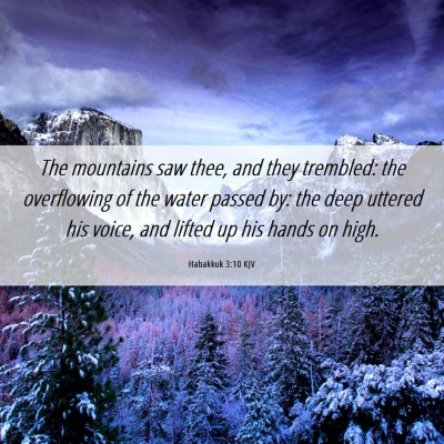 Picture 06 - Habakkuk 3:10 KJV - The mountains saw thee, and they trembled: the - Bible Verse Picture
