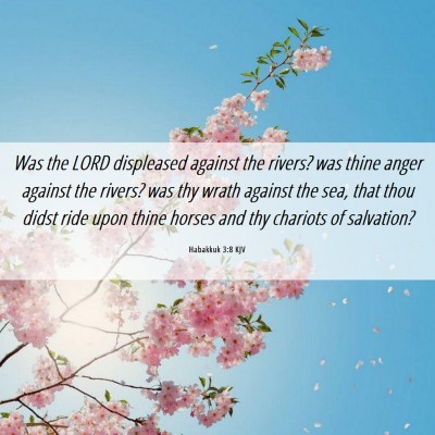 Picture 06 - Habakkuk 3:8 KJV - Was the LORD displeased against the rivers? was - Bible Verse Picture