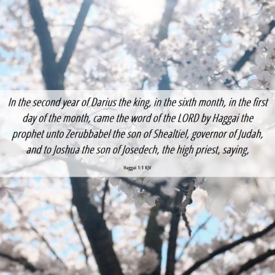 Picture 06 - Haggai 1:1 KJV - In the second year of Darius the king, in the - Bible Verse Picture