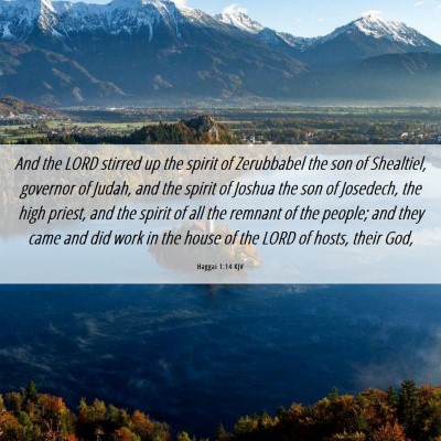 Picture 06 - Haggai 1:14 KJV - And the LORD stirred up the spirit of Zerubbabel - Bible Verse Picture