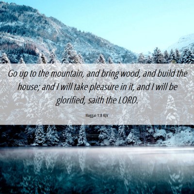 Picture 06 - Haggai 1:8 KJV - Go up to the mountain, and bring wood, and build - Bible Verse Picture