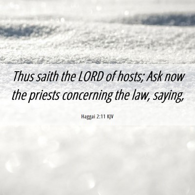 Picture 06 - Haggai 2:11 KJV - Thus saith the LORD of hosts; Ask now the priests - Bible Verse Picture
