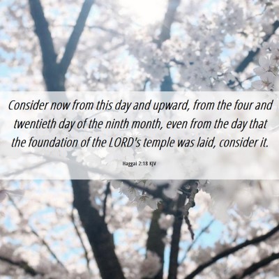 Picture 06 - Haggai 2:18 KJV - Consider now from this day and upward, from the - Bible Verse Picture