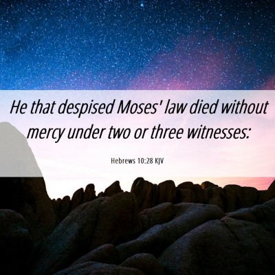 Picture 06 - Hebrews 10:28 KJV - He that despised Moses' law died without mercy - Bible Verse Picture