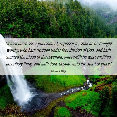 Picture 06 - Hebrews 10:29 KJV - Of how much sorer punishment, suppose ye, shall - Bible Verse Picture