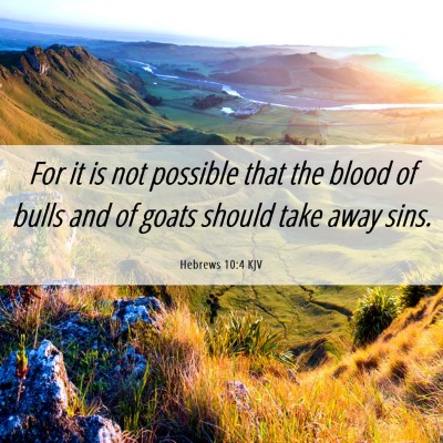 Picture 06 - Hebrews 10:4 KJV - For it is not possible that the blood of bulls - Bible Verse Picture
