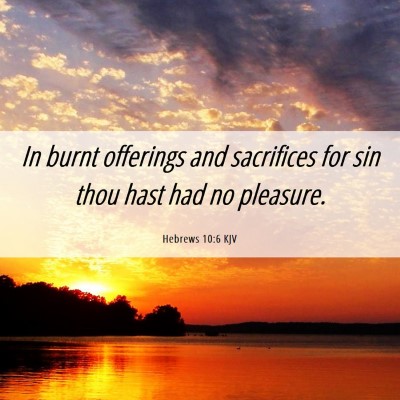 Picture 06 - Hebrews 10:6 KJV - In burnt offerings and sacrifices for sin thou - Bible Verse Picture