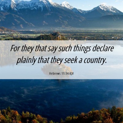 Picture 06 - Hebrews 11:14 KJV - For they that say such things declare plainly - Bible Verse Picture
