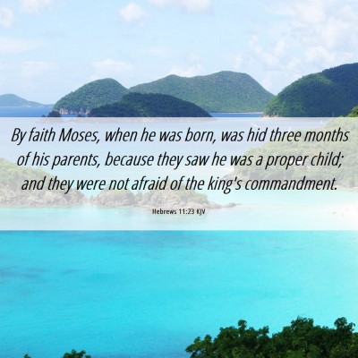 Picture 06 - Hebrews 11:23 KJV - By faith Moses, when he was born, was hid three - Bible Verse Picture