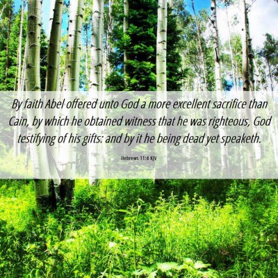 Picture 06 - Hebrews 11:4 KJV - By faith Abel offered unto God a more excellent - Bible Verse Picture