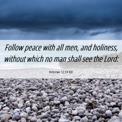 Picture 06 - Hebrews 12:14 KJV - Follow peace with all men, and holiness, without - Bible Verse Picture