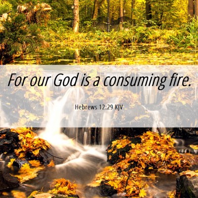 Picture 06 - Hebrews 12:29 KJV - For our God is a consuming - Bible Verse Picture