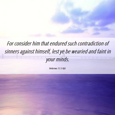 Picture 06 - Hebrews 12:3 KJV - For consider him that endured such contradiction - Bible Verse Picture