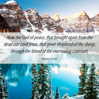 Picture 06 - Hebrews 13:20 KJV - Now the God of peace, that brought again from the - Bible Verse Picture