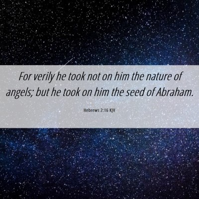 Picture 06 - Hebrews 2:16 KJV - For verily he took not on him the nature of - Bible Verse Picture