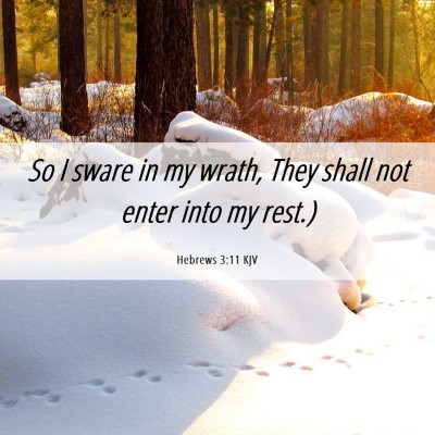 Picture 06 - Hebrews 3:11 KJV - So I sware in my wrath, They shall not enter into - Bible Verse Picture