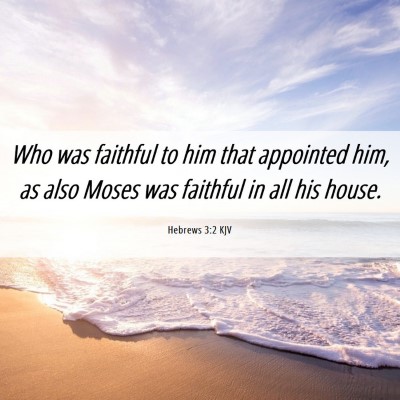 Picture 06 - Hebrews 3:2 KJV - Who was faithful to him that appointed him, as - Bible Verse Picture