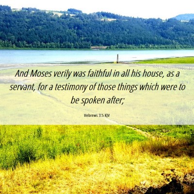 Picture 06 - Hebrews 3:5 KJV - And Moses verily was faithful in all his house, - Bible Verse Picture
