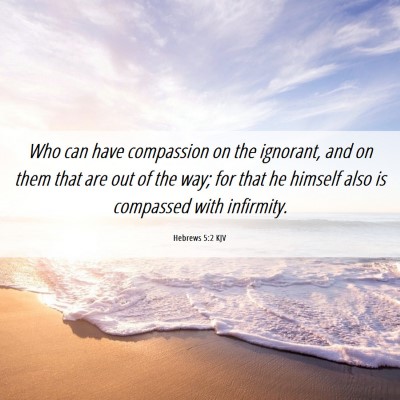Picture 06 - Hebrews 5:2 KJV - Who can have compassion on the ignorant, and on - Bible Verse Picture