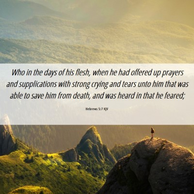 Picture 06 - Hebrews 5:7 KJV - Who in the days of his flesh, when he had offered - Bible Verse Picture