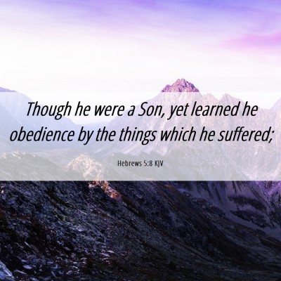 Picture 06 - Hebrews 5:8 KJV - Though he were a Son, yet learned he obedience by - Bible Verse Picture