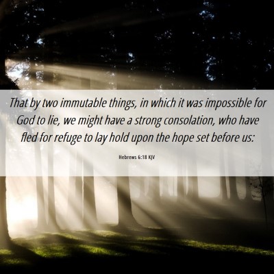 Picture 06 - Hebrews 6:18 KJV - That by two immutable things, in which it was - Bible Verse Picture
