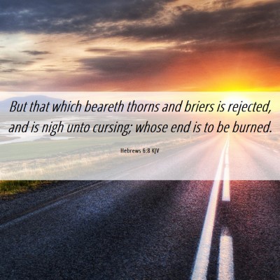 Picture 06 - Hebrews 6:8 KJV - But that which beareth thorns and briers is - Bible Verse Picture