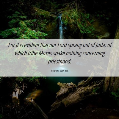 Picture 06 - Hebrews 7:14 KJV - For it is evident that our Lord sprang out of - Bible Verse Picture