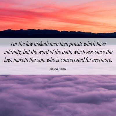 Picture 06 - Hebrews 7:28 KJV - For the law maketh men high priests which have - Bible Verse Picture