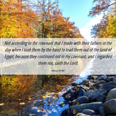 Picture 06 - Hebrews 8:9 KJV - Not according to the covenant that I made with - Bible Verse Picture