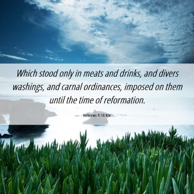 Picture 06 - Hebrews 9:10 KJV - Which stood only in meats and drinks, and divers - Bible Verse Picture