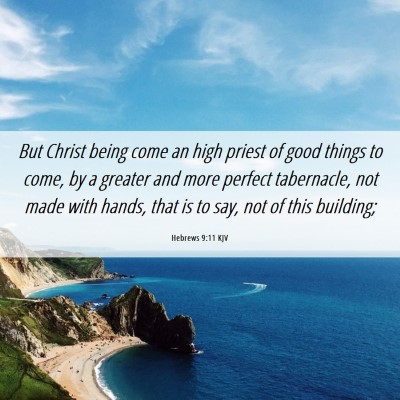 Picture 06 - Hebrews 9:11 KJV - But Christ being come an high priest of good - Bible Verse Picture