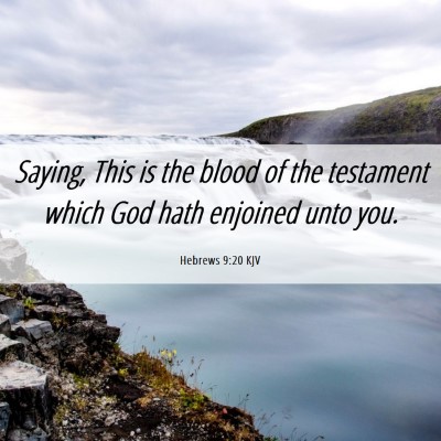 Picture 06 - Hebrews 9:20 KJV - Saying, This is the blood of the testament which - Bible Verse Picture