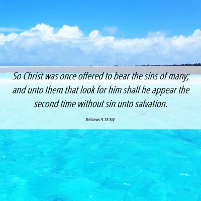 Picture 06 - Hebrews 9:28 KJV - So Christ was once offered to bear the sins of - Bible Verse Picture