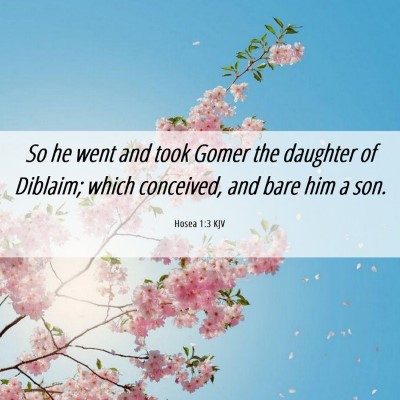 Picture 06 - Hosea 1:3 KJV - So he went and took Gomer the daughter of - Bible Verse Picture