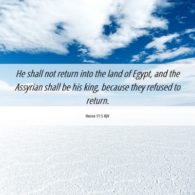 Picture 06 - Hosea 11:5 KJV - He shall not return into the land of Egypt, and - Bible Verse Picture