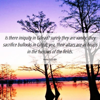 Picture 06 - Hosea 12:11 KJV - Is there iniquity in Gilead? surely they are - Bible Verse Picture