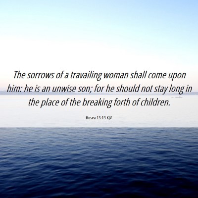 Picture 06 - Hosea 13:13 KJV - The sorrows of a travailing woman shall come upon - Bible Verse Picture