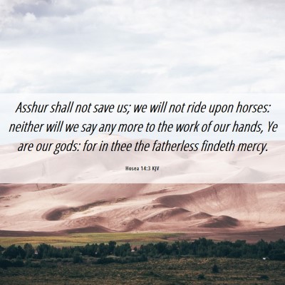 Picture 06 - Hosea 14:3 KJV - Asshur shall not save us; we will not ride upon - Bible Verse Picture