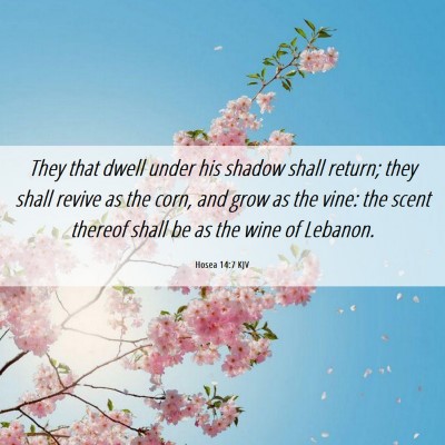 Picture 06 - Hosea 14:7 KJV - They that dwell under his shadow shall return; - Bible Verse Picture