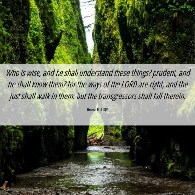 Picture 06 - Hosea 14:9 KJV - Who is wise, and he shall understand these - Bible Verse Picture
