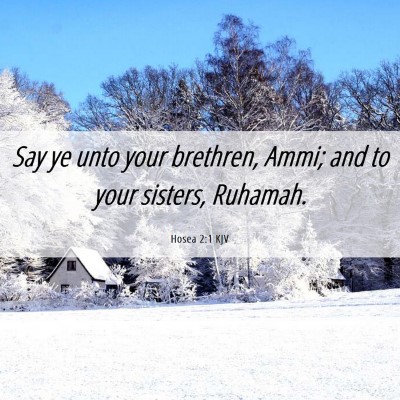 Picture 06 - Hosea 2:1 KJV - Say ye unto your brethren, Ammi; and to your - Bible Verse Picture