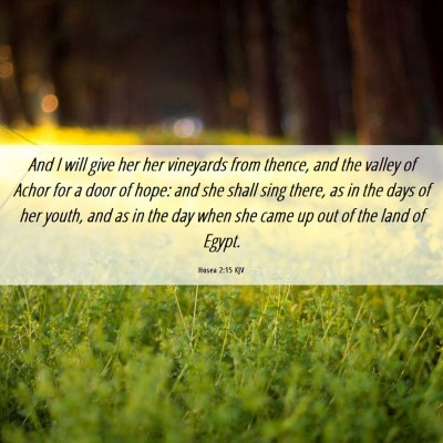 Picture 06 - Hosea 2:15 KJV - And I will give her her vineyards from thence, - Bible Verse Picture