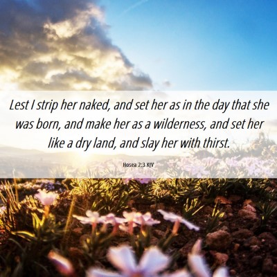 Picture 06 - Hosea 2:3 KJV - Lest I strip her naked, and set her as in the day - Bible Verse Picture