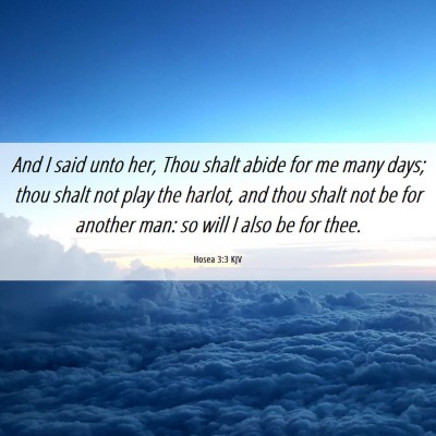 Picture 06 - Hosea 3:3 KJV - And I said unto her, Thou shalt abide for me many - Bible Verse Picture
